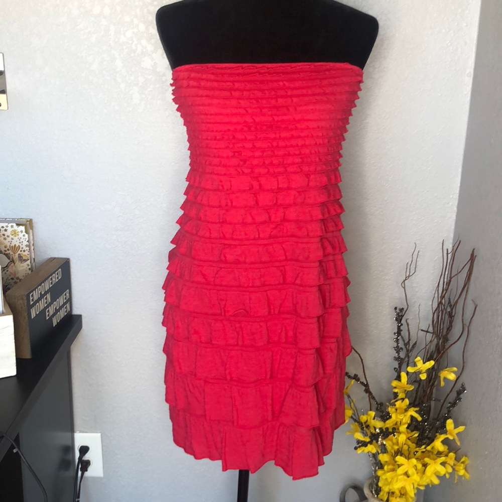 Express Pink Ruffle Dress